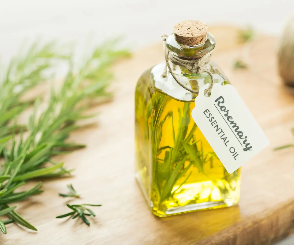 Realistic before and after rosemary oil hair growth results over time