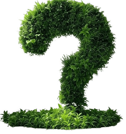 A large 3D question mark, covered in lush green foliage and leaves, emerges from a patch of grass. Perfect for a homepage feature or quiz section, this design beautifully combines elements of nature and typography.