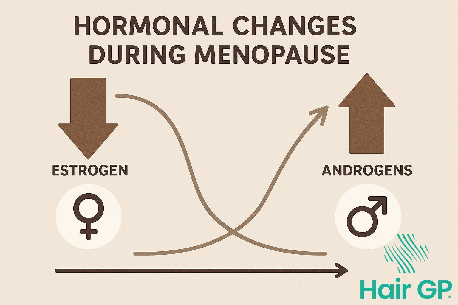 Infographic showing estrogen and androgen hormone levels during menopause