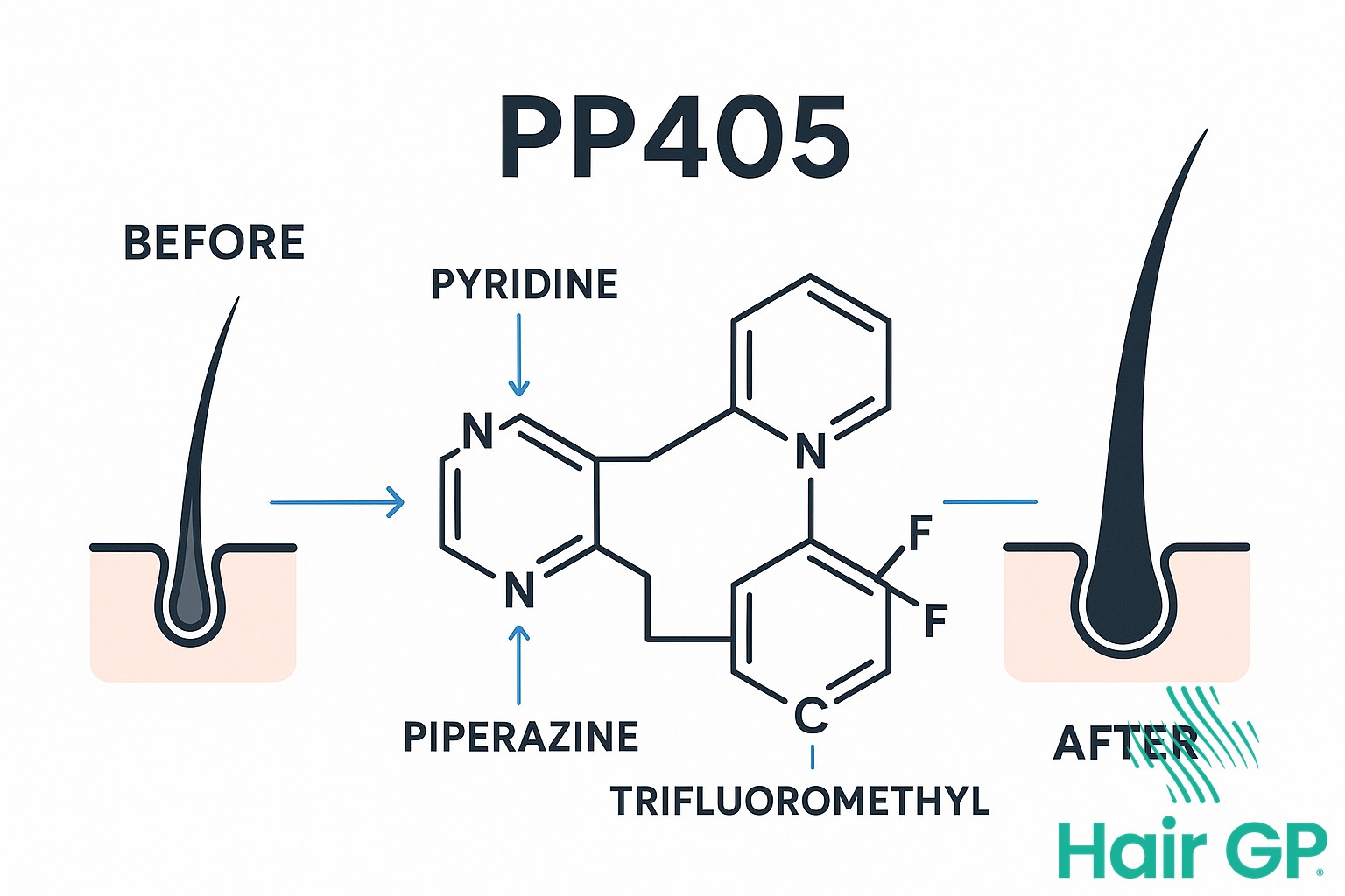 PP405 molecule structure diagram showing how it interacts with hair follicles